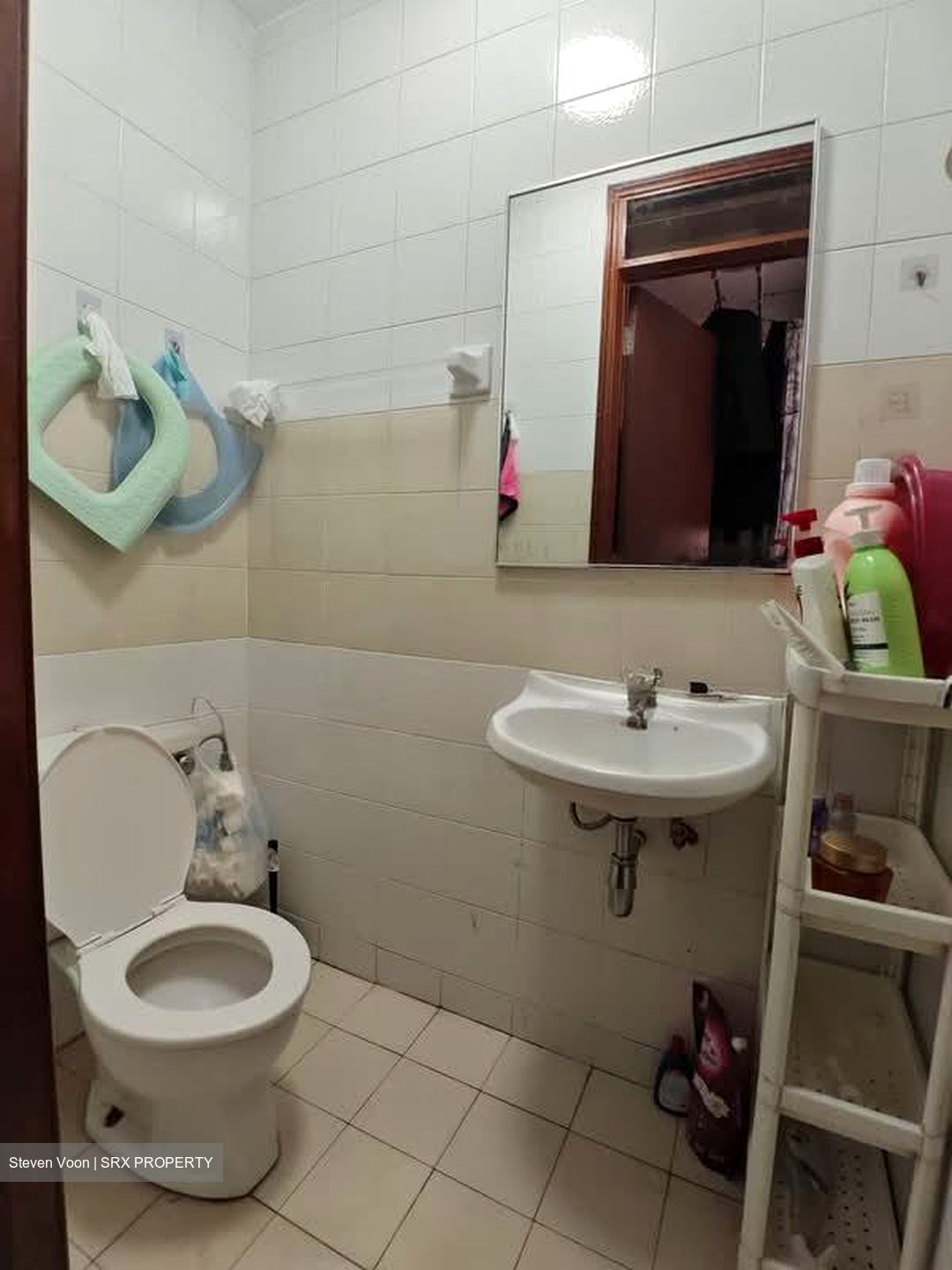 Dover Parkview (D5), Condominium #567699461